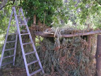 Cabane