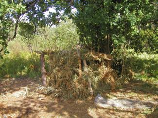 Cabane