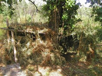 Cabane