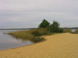  Vue du Lac de Sanguinet