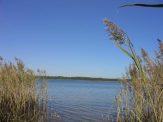  Vue du Lac de Sanguinet