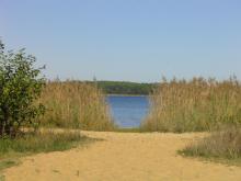  Vue du Lac de Sanguinet