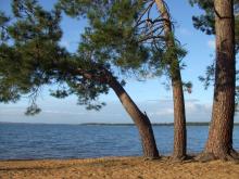 Vue du Lac de Sanguinet