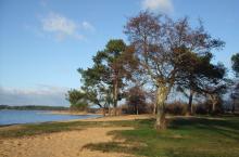 Vue du Lac de Sanguinet